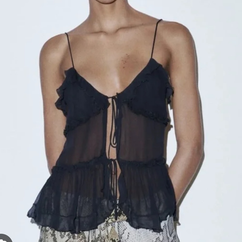 Zara Semi Sheer Ruffled Top